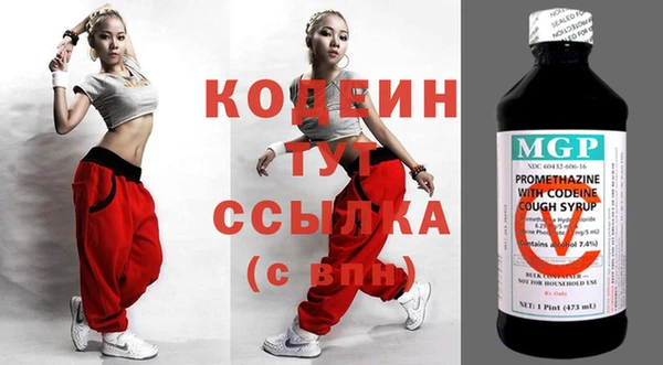 стаф Верея