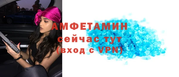 стаф Верея