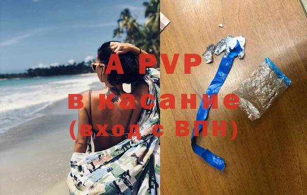 стаф Верея