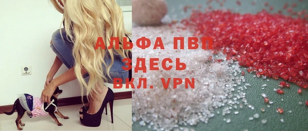 стаф Верея