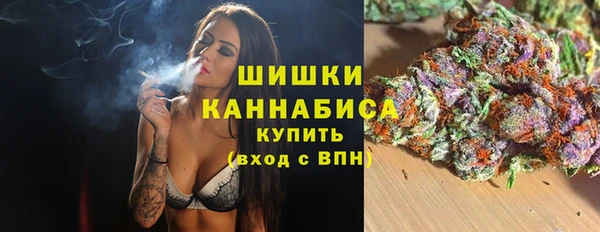 индика Верхнеуральск