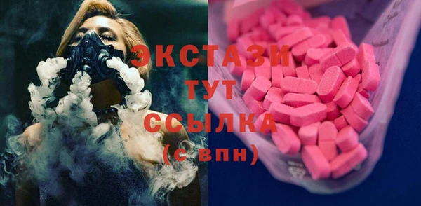 стаф Верея