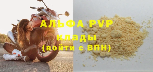 стаф Верея