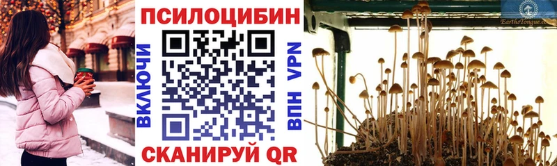 Псилоцибиновые грибы мухоморы  Касли 